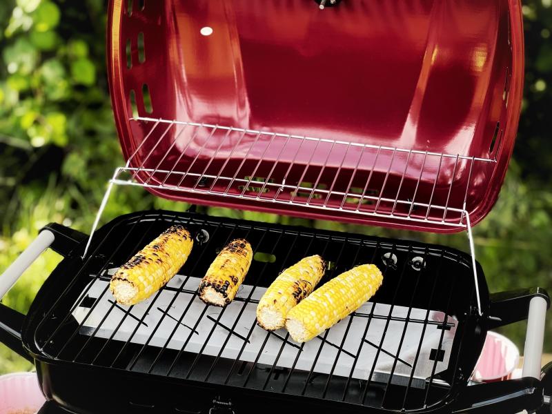 Electric & Smokeless Grills