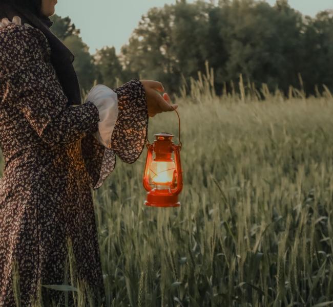 Lanterns & Camp Lights