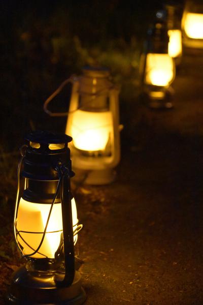 Propane Lanterns & Lights