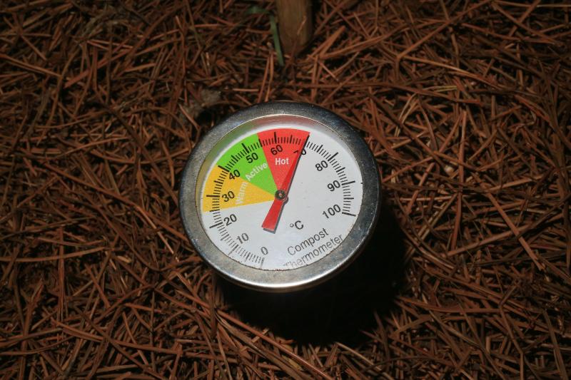 Kitchen Thermometers & Timers