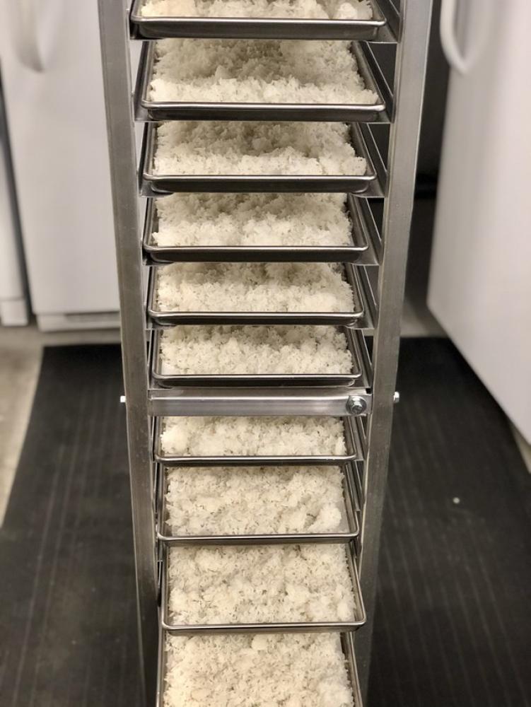 Freeze Dried Long Grain White Rice