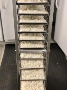 Freeze Dried Long Grain White Rice