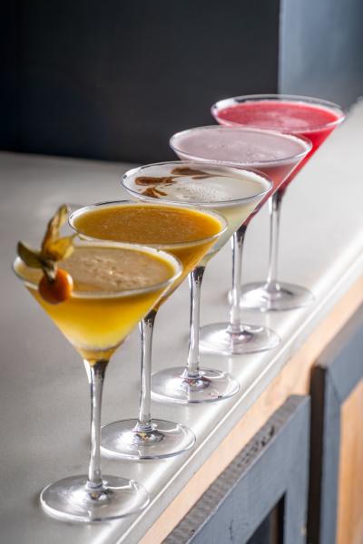 Cocktail & Martini Glasses