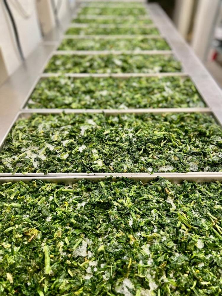 Freeze Dried Cut Leaf Spinach