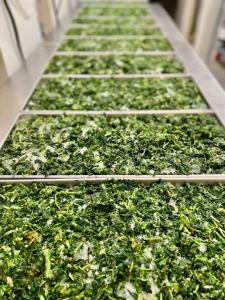Freeze Dried Cut Leaf Spinach