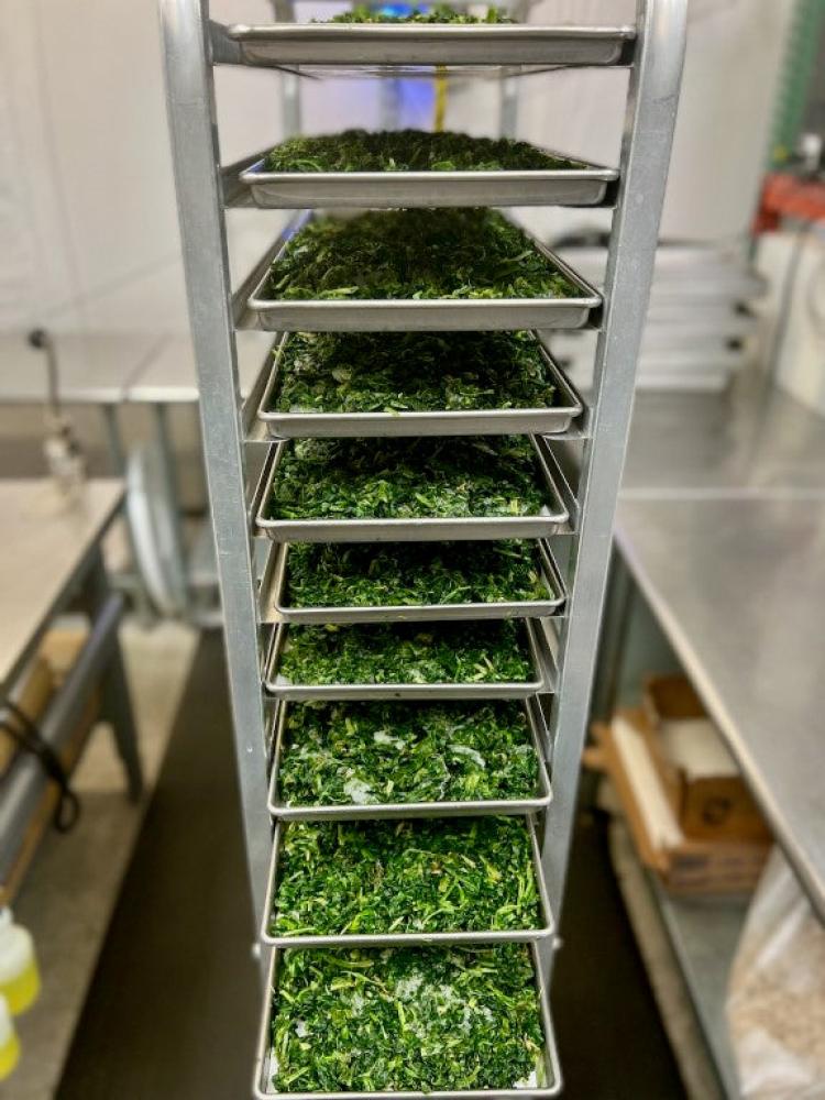 Freeze Dried Cut Leaf Spinach