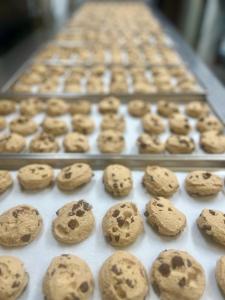 Freeze Dried Chocolate Chip Cookie Dough