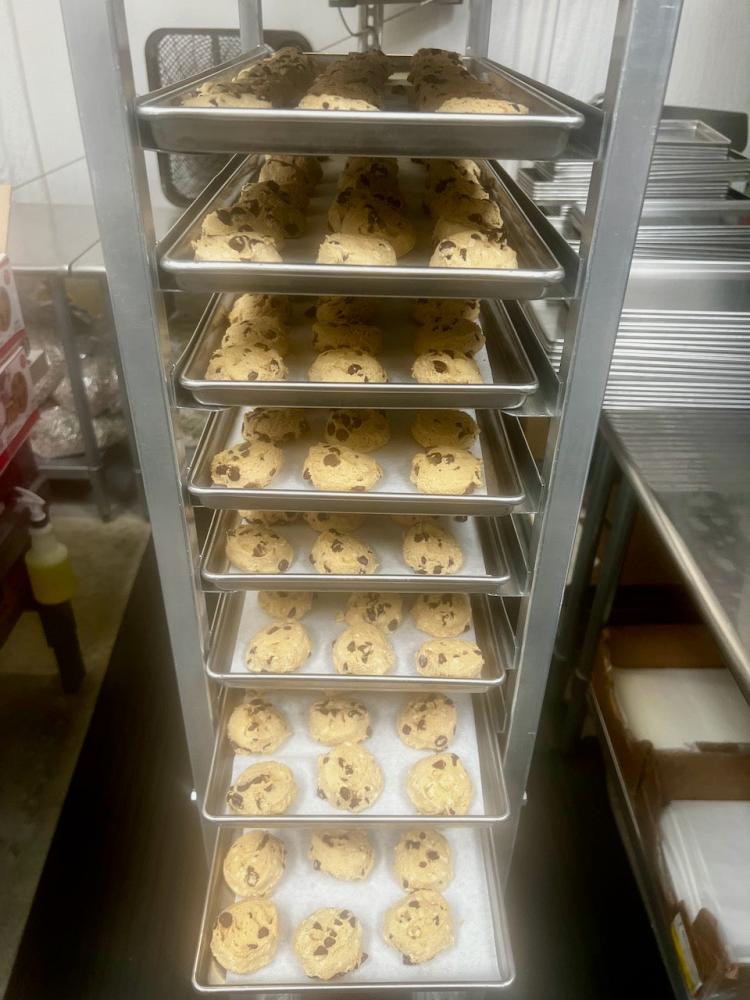 Freeze Dried Chocolate Chip Cookie Dough