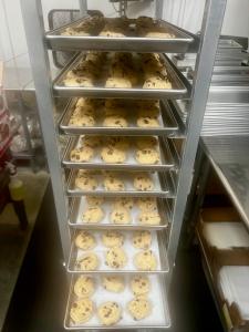 Freeze Dried Chocolate Chip Cookie Dough