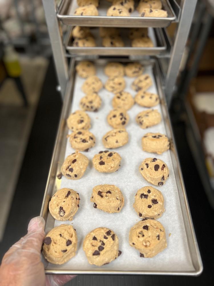Freeze Dried Chocolate Chip Cookie Dough