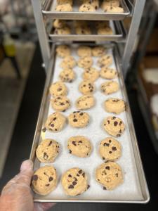 Freeze Dried Chocolate Chip Cookie Dough