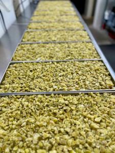 Freeze Dried Diced Green Bell Peppers