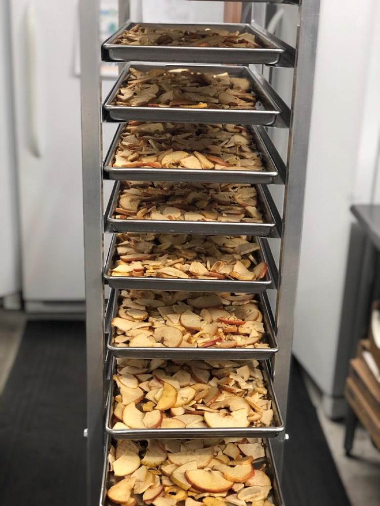 Freeze Dried Apple Chips