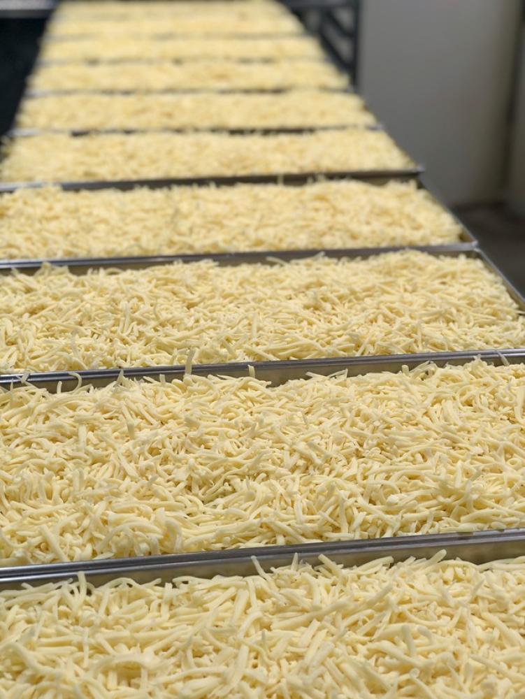 Freeze Dried Shredded Monterey Jack Cheese
