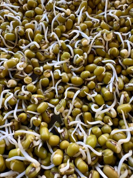 Mung Beans