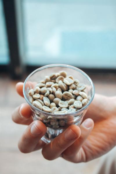 Flageolet Beans