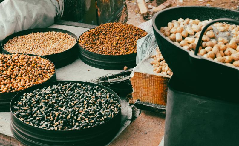 Grain & Nut / Filbert Seeds
