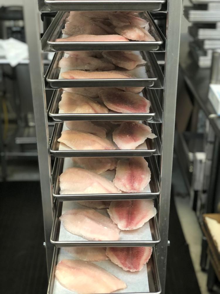 Freeze Dried Tilapia Filllets