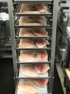 Freeze Dried Tilapia Filllets