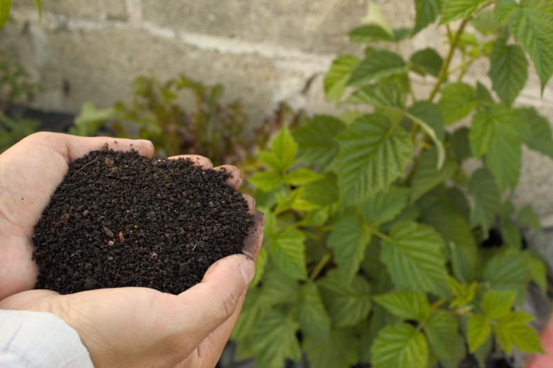 Organic Fertilizers