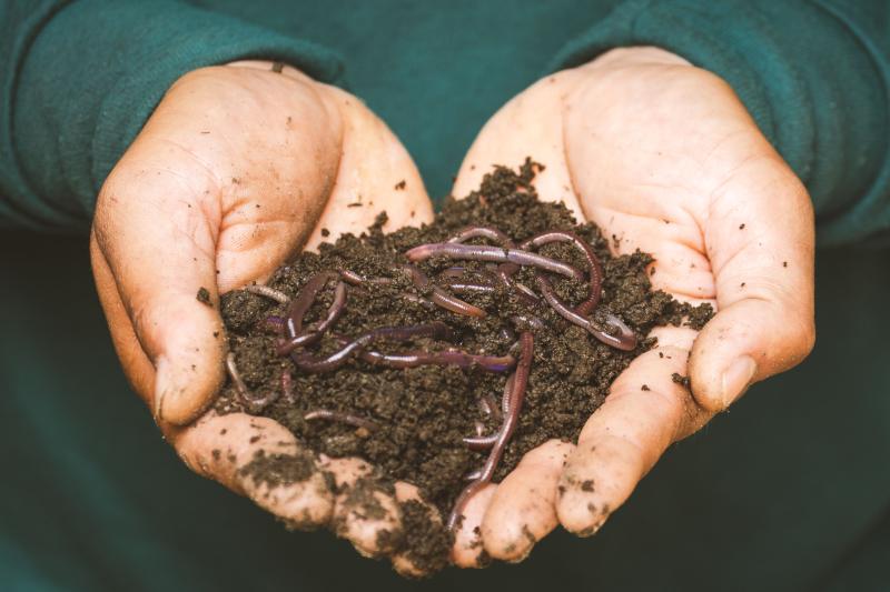 Potting Soil & Garden Soil