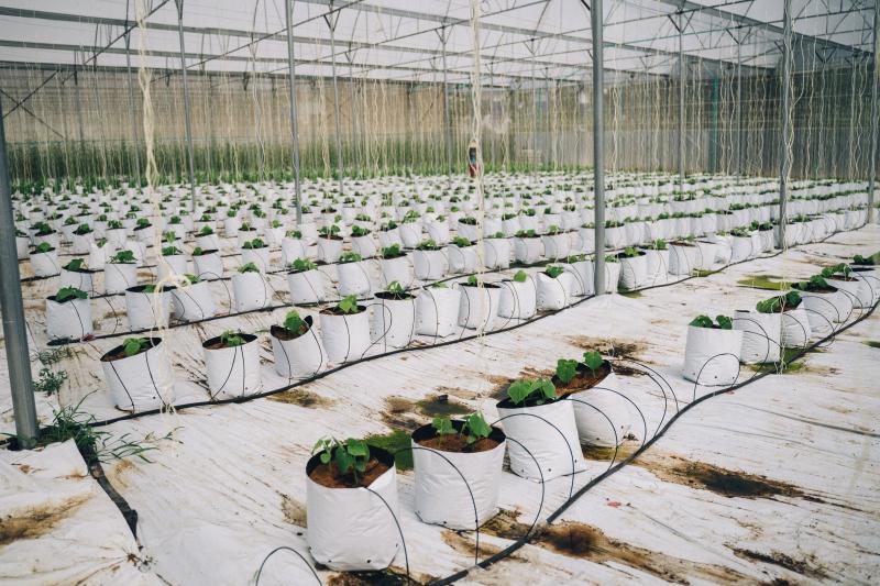 Drip Irrigation Supplies