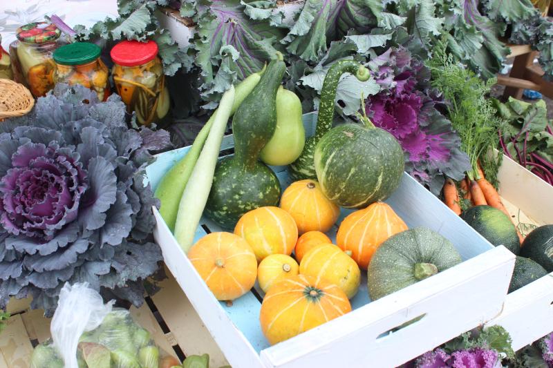Heritage / Uncommon Vegetables