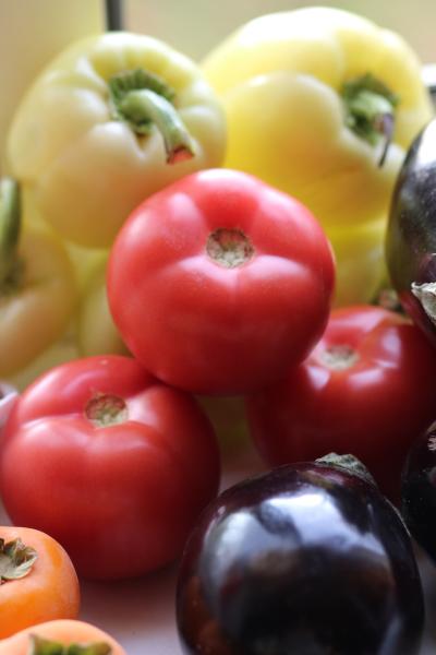 Nightshades (Tomato, Pepper, Eggplant)