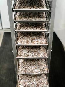 Freeze Dried Diced Black Mission Figs