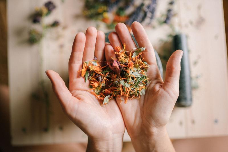 Medicinal Herbs
