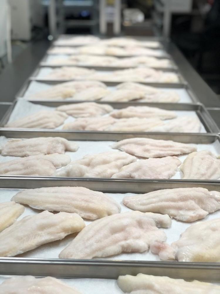 Freeze Dried Catfish Fillets