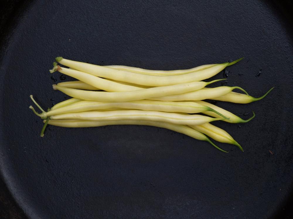 Beans, Carson PvP Packet