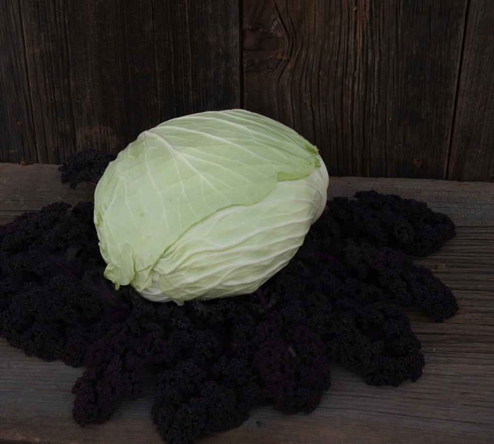 Cabbage, Gunma Hybrid Packet