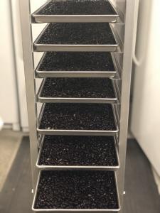 Freeze Dried Fully Cooked Black Beans