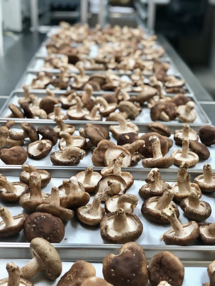 Freeze Dried Whole Shiitake Mushrooms