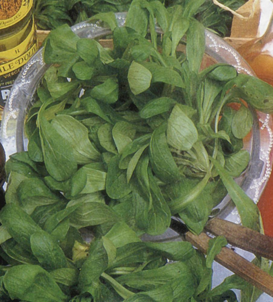 Corn Salad, Large Leaf Round Packet