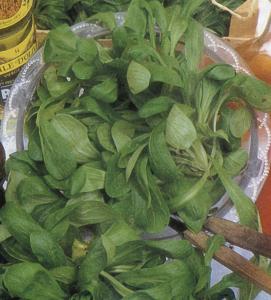 Corn Salad, Large Leaf Round Packet