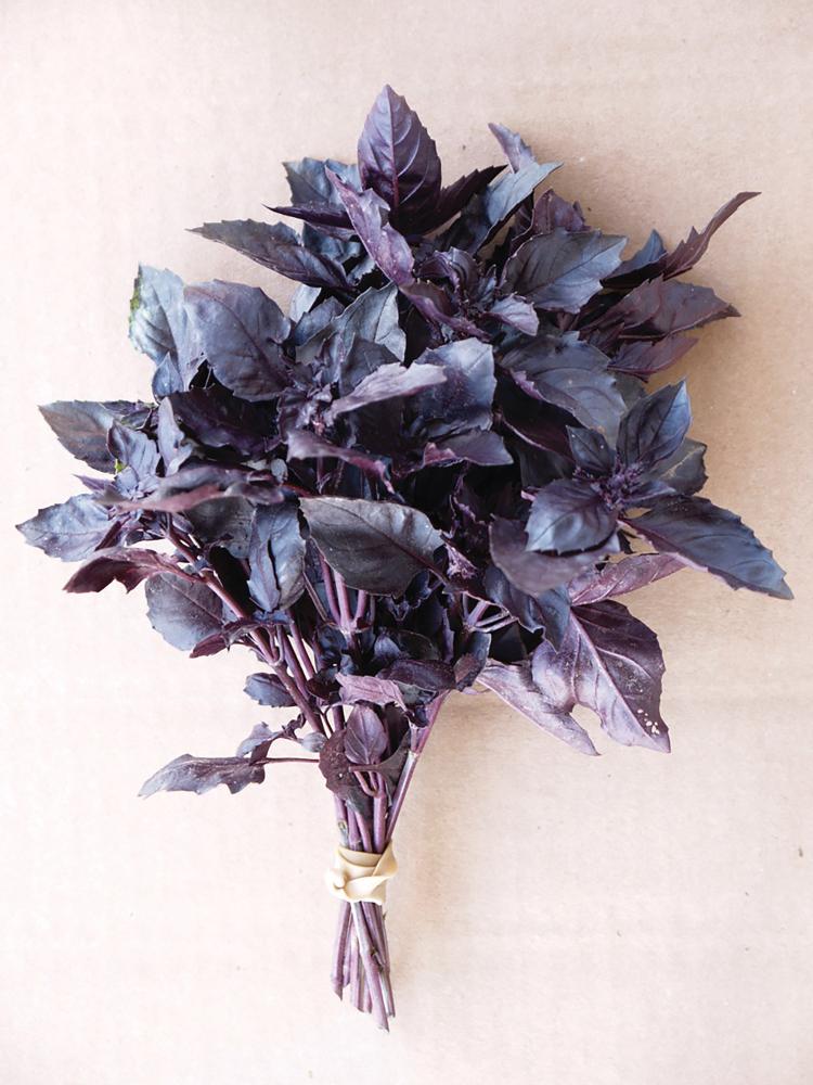Basil, Red Rubin Improved Packet