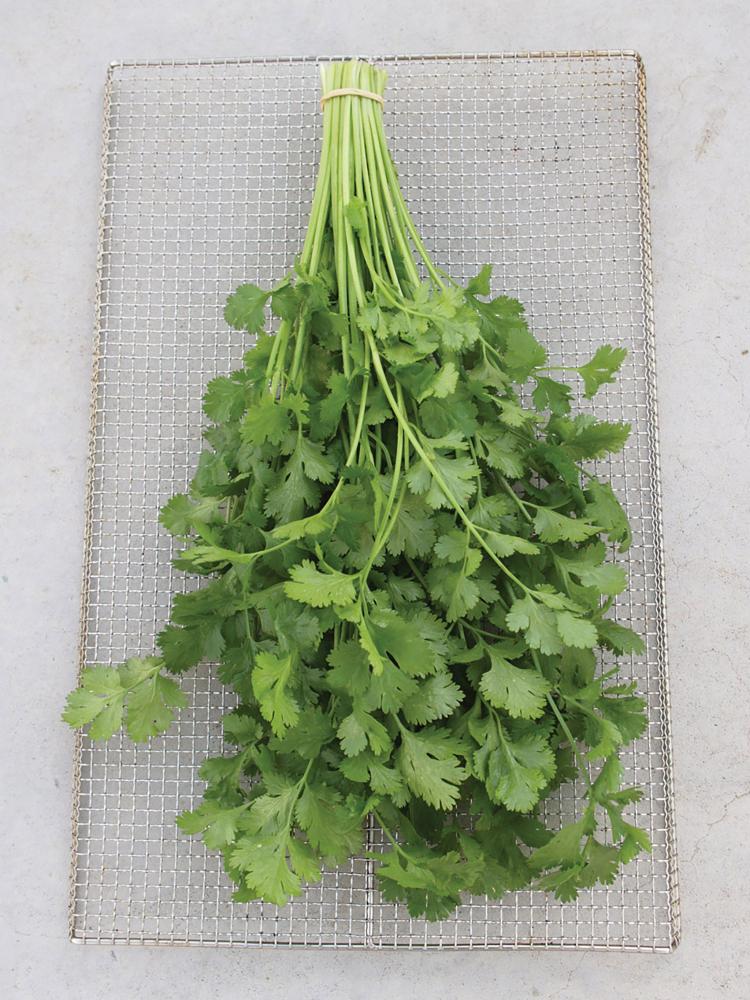 Cilantro, Santo Packet
