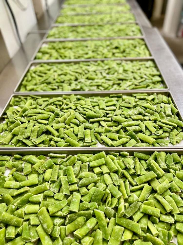 Freeze Dried Italian Green Beans