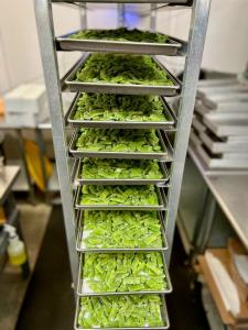 Freeze Dried Italian Green Beans