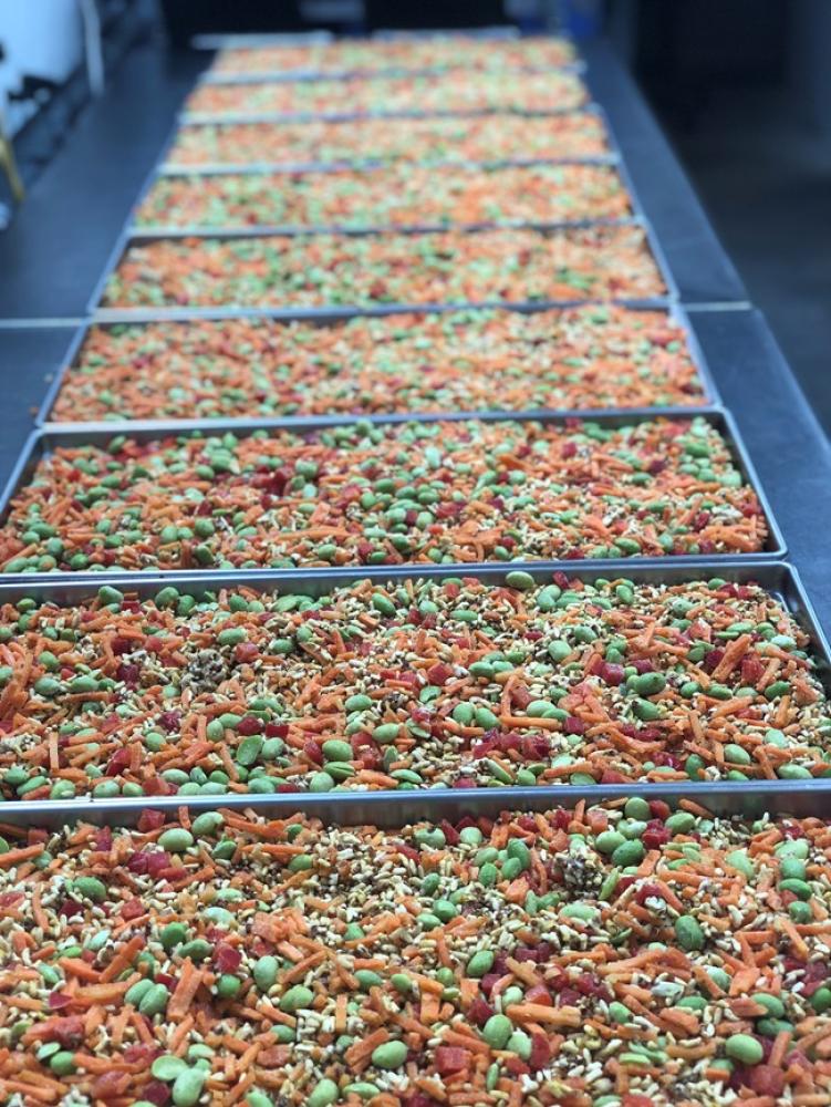 Freeze Dried Thai Style Red Quinoa and Vegetables