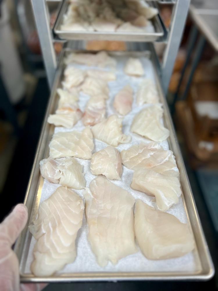 Freeze Dried Wild Caught Alaskan Halibut