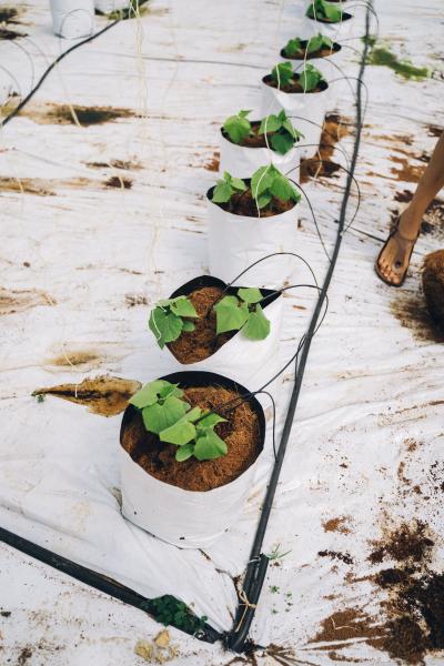 Drip Irrigation Systems