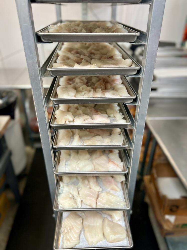 Freeze Dried Wild Caught Alaskan Halibut
