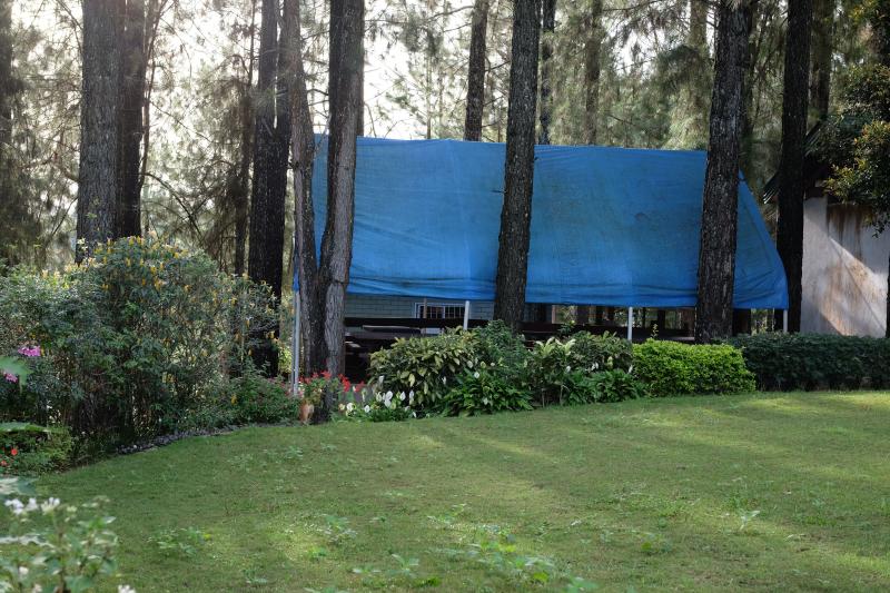 Tarps & Covering