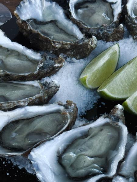 Mollusks