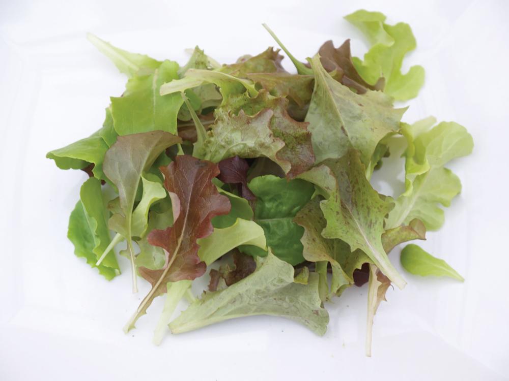 Lettuce, Bon Vivant Salad Mix Packet