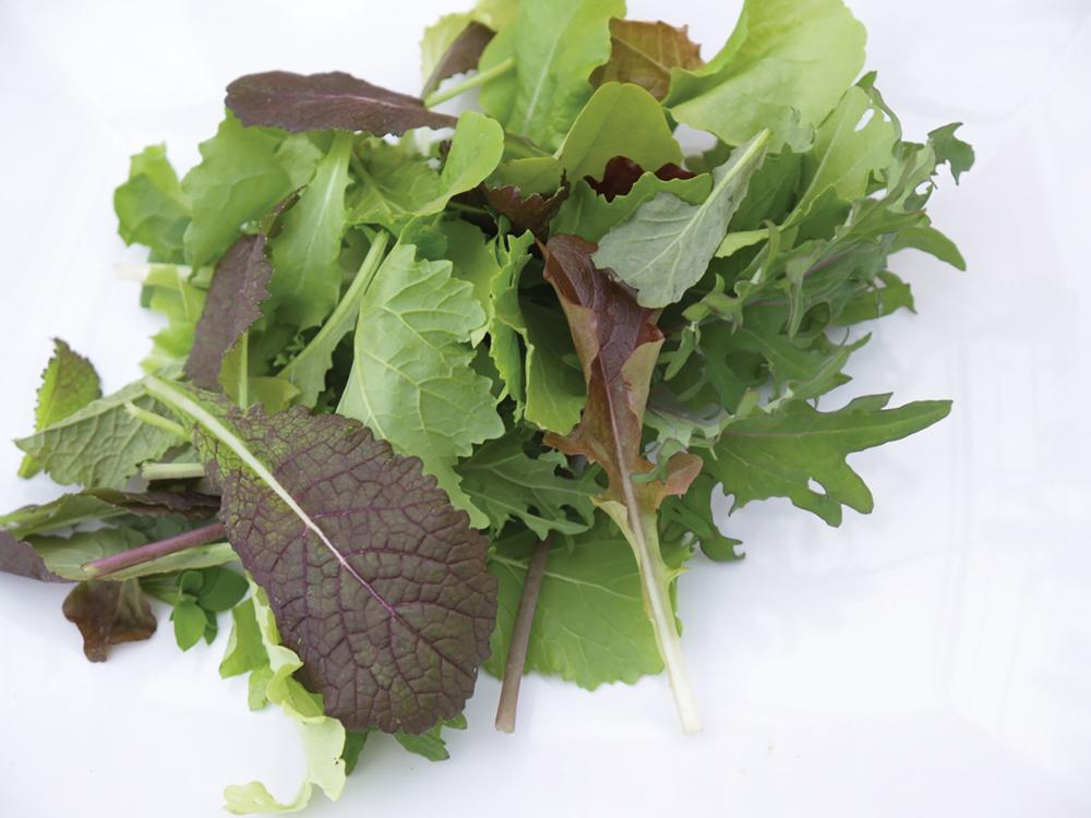 Lettuce, Healthkick Salad Blend Packet