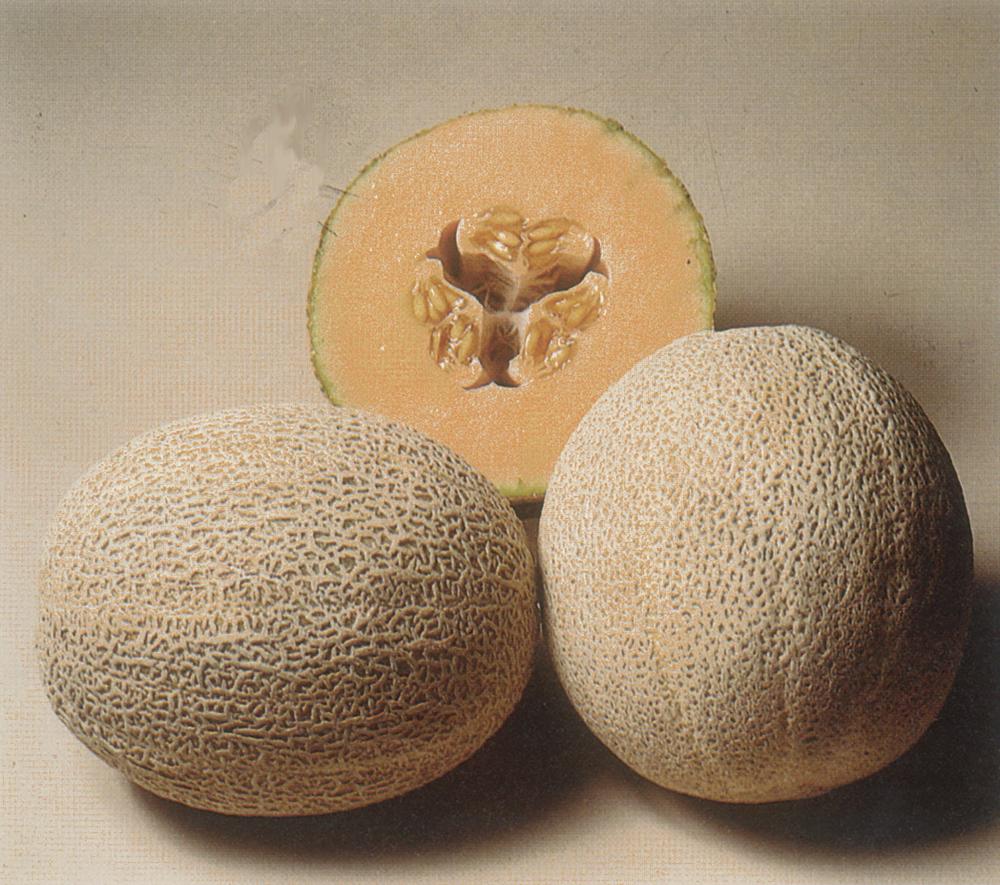 Melons, Hales Best Packet